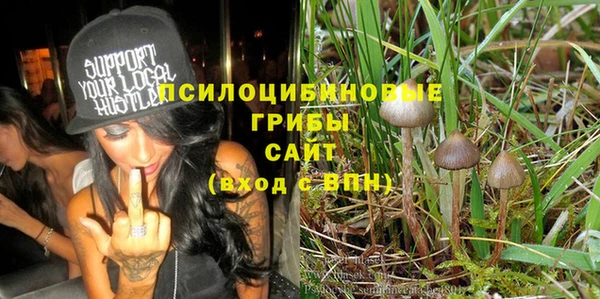 не бодяженный Алексин